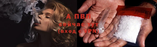 стафф Волоколамск