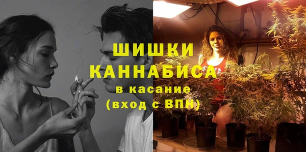 стафф Волоколамск